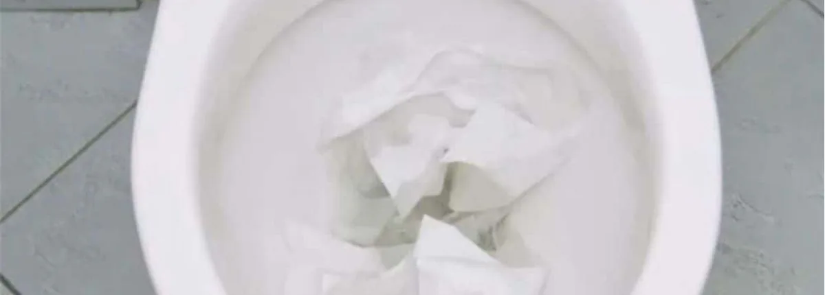 No Plunger, No problem – Weymouth Clogged Toilet
