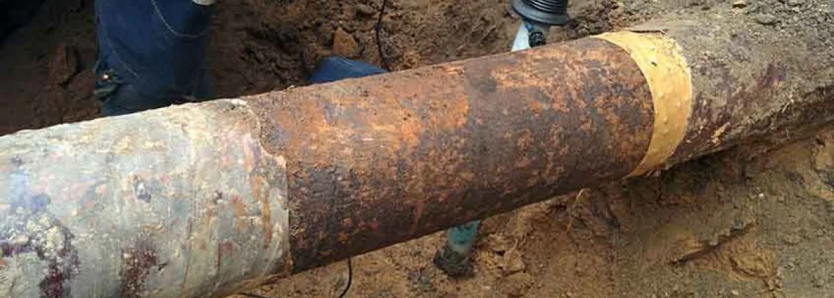 The Symptoms of a Broken Sewer Line