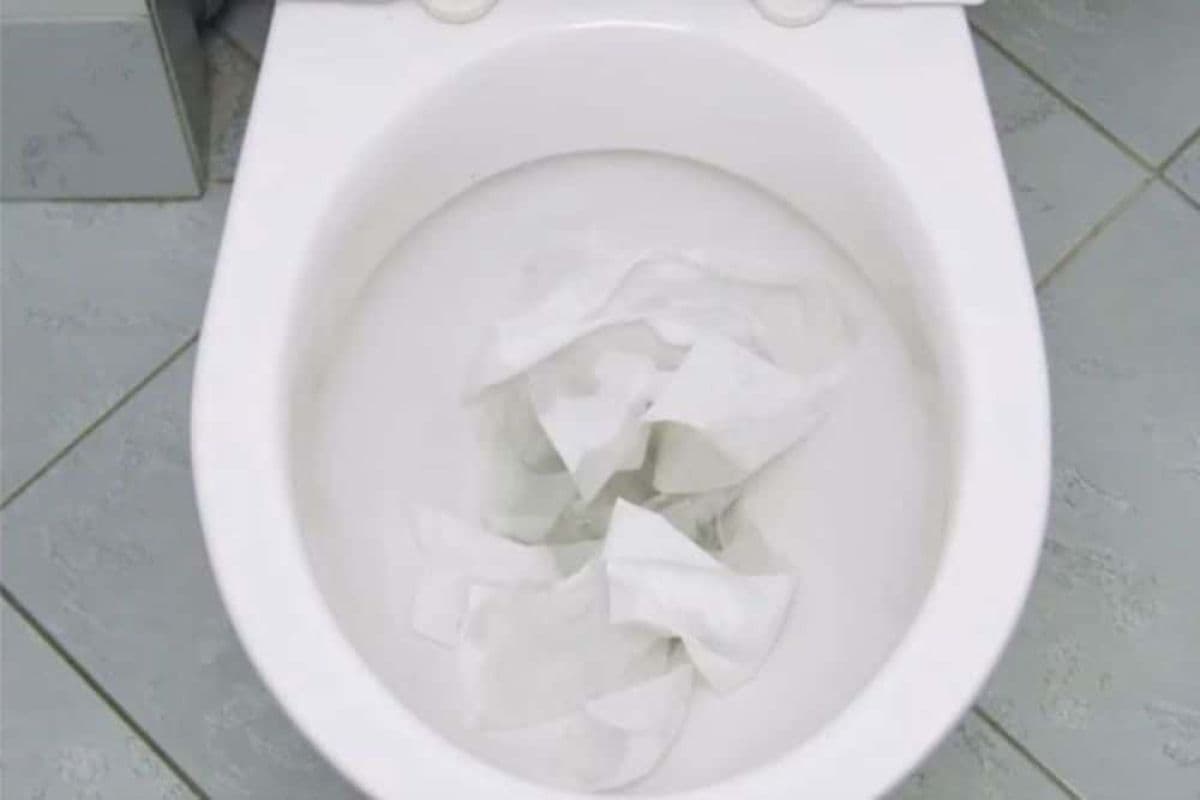 No Plunger No Problem Weymouth Clogged Toilet