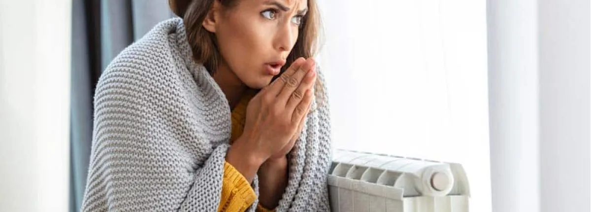 Heat Pump vs. Furnace: What’s Right for Your South Shore Home This Fall?
