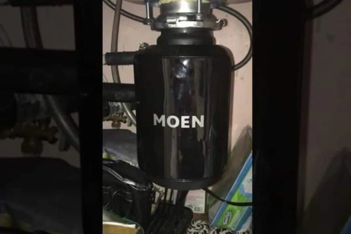 Top Boston Garbage Disposals 2020