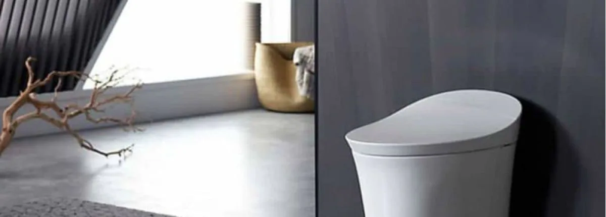 Best Quincy Toilets for Your Home in 2020